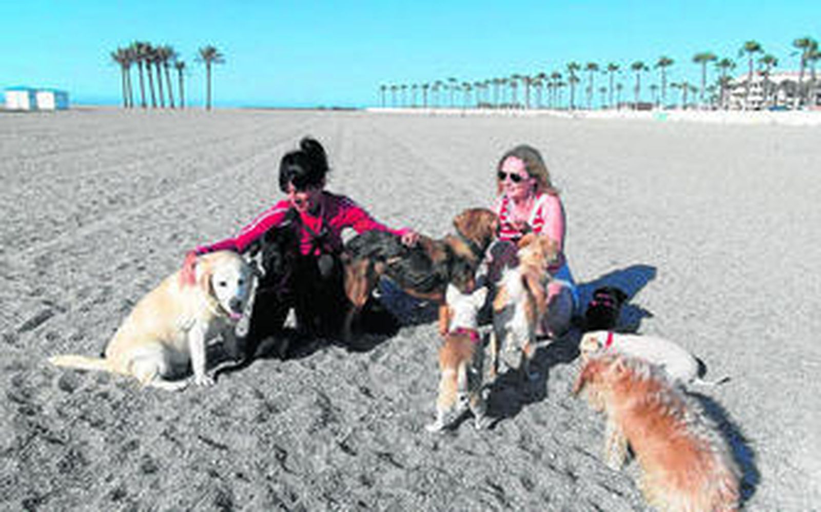 Maite Lázaro y Marianne Liekens pasean cada día a sus mascotas por las playas del municipio.