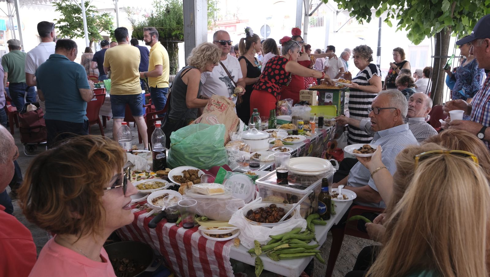 Imágenes del concurso de cata de vinos de las Fiestas de Abrucena 2022
