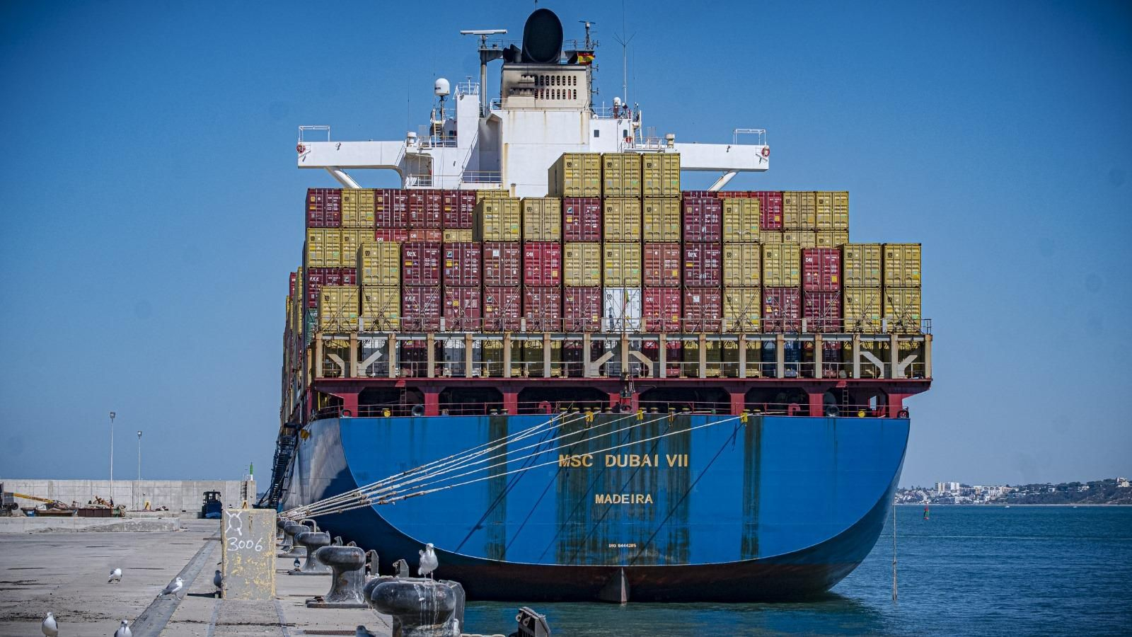 El gigantesco Dubai VII, amarrado en uno de los muelles, el de La Galeona, de la nueva terminal de contenedores del puerto de Cádiz