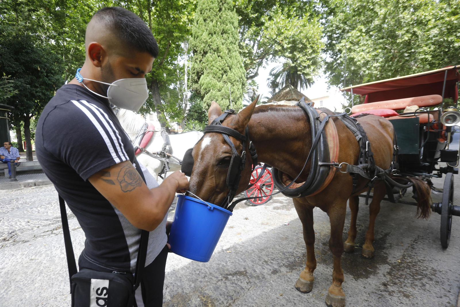 Las fotografías de los cordobeses que trabajan en primera línea del calor