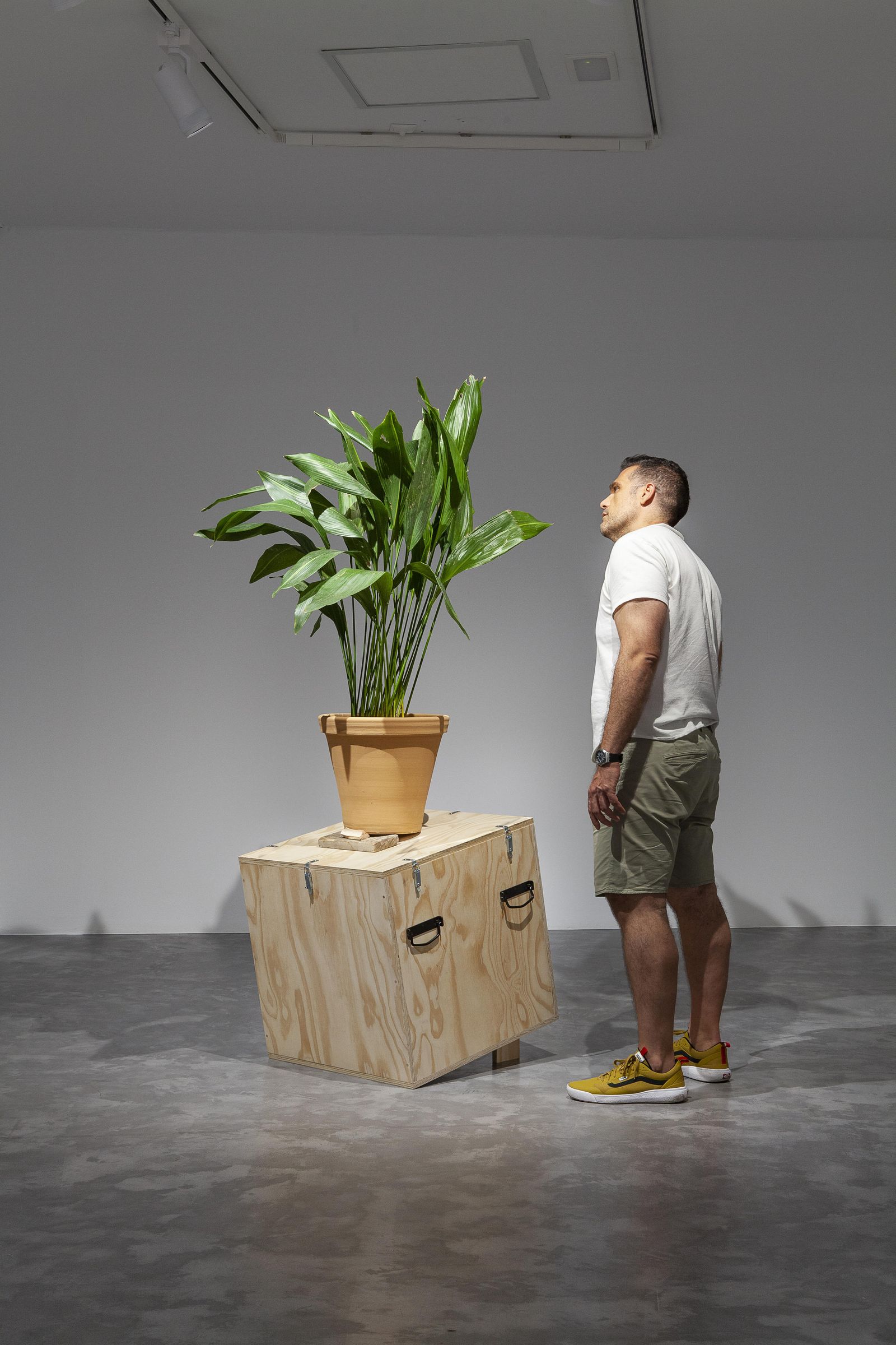 'Maceta (todo encaja n. 2)', una de las obras que presenta el artista sevillano