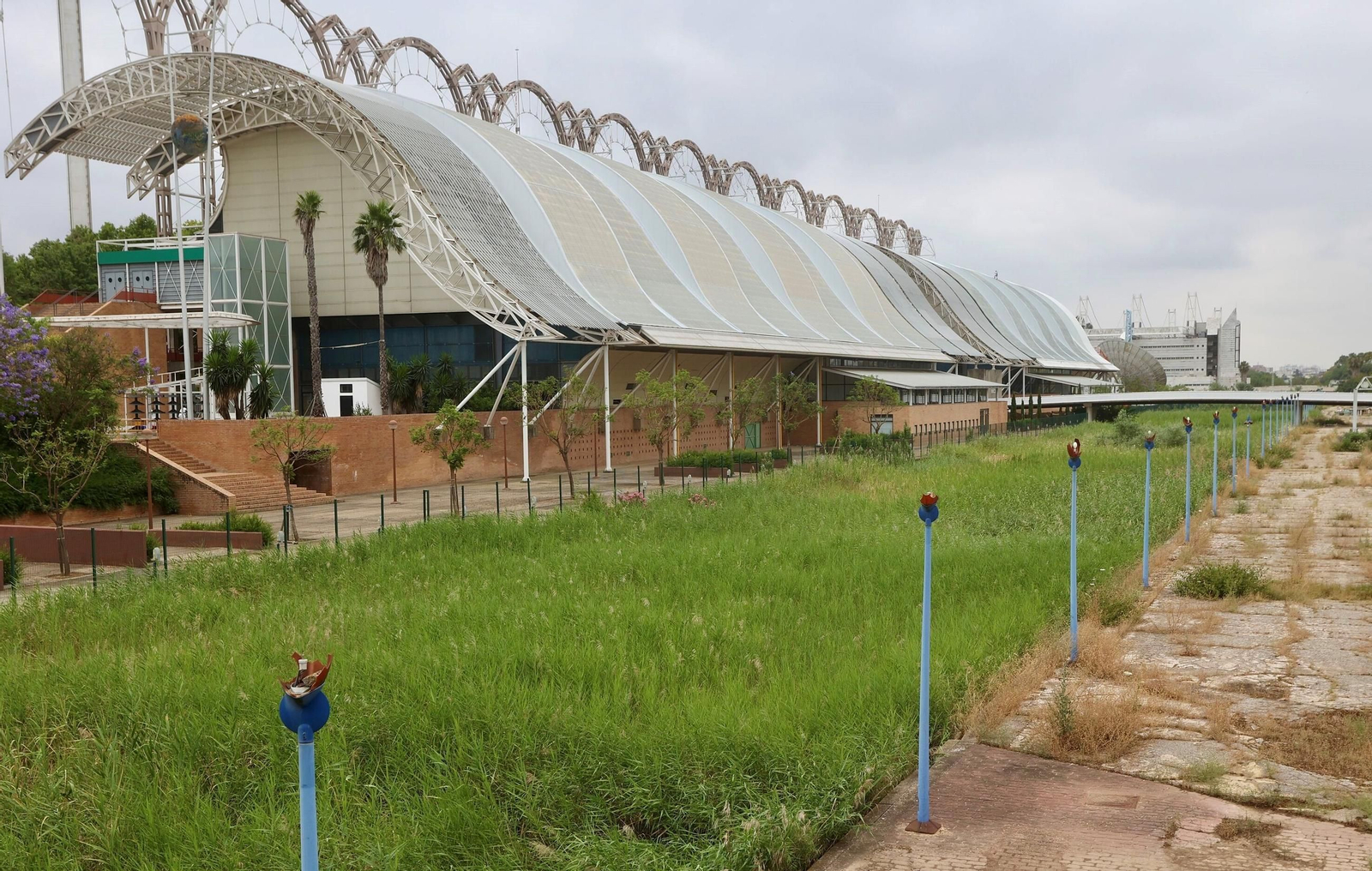 Estado reciente del Canal de los Descubrimientos, abandonado y repleto de hierba silvestre de gran altura.