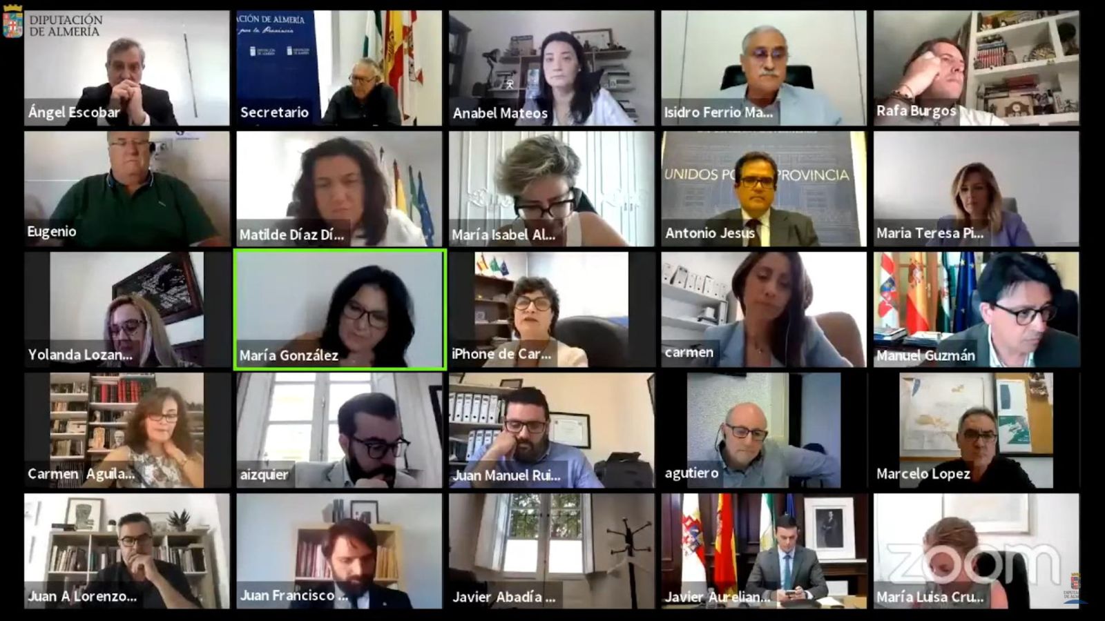 La sesión plenaria ha sido telemática.