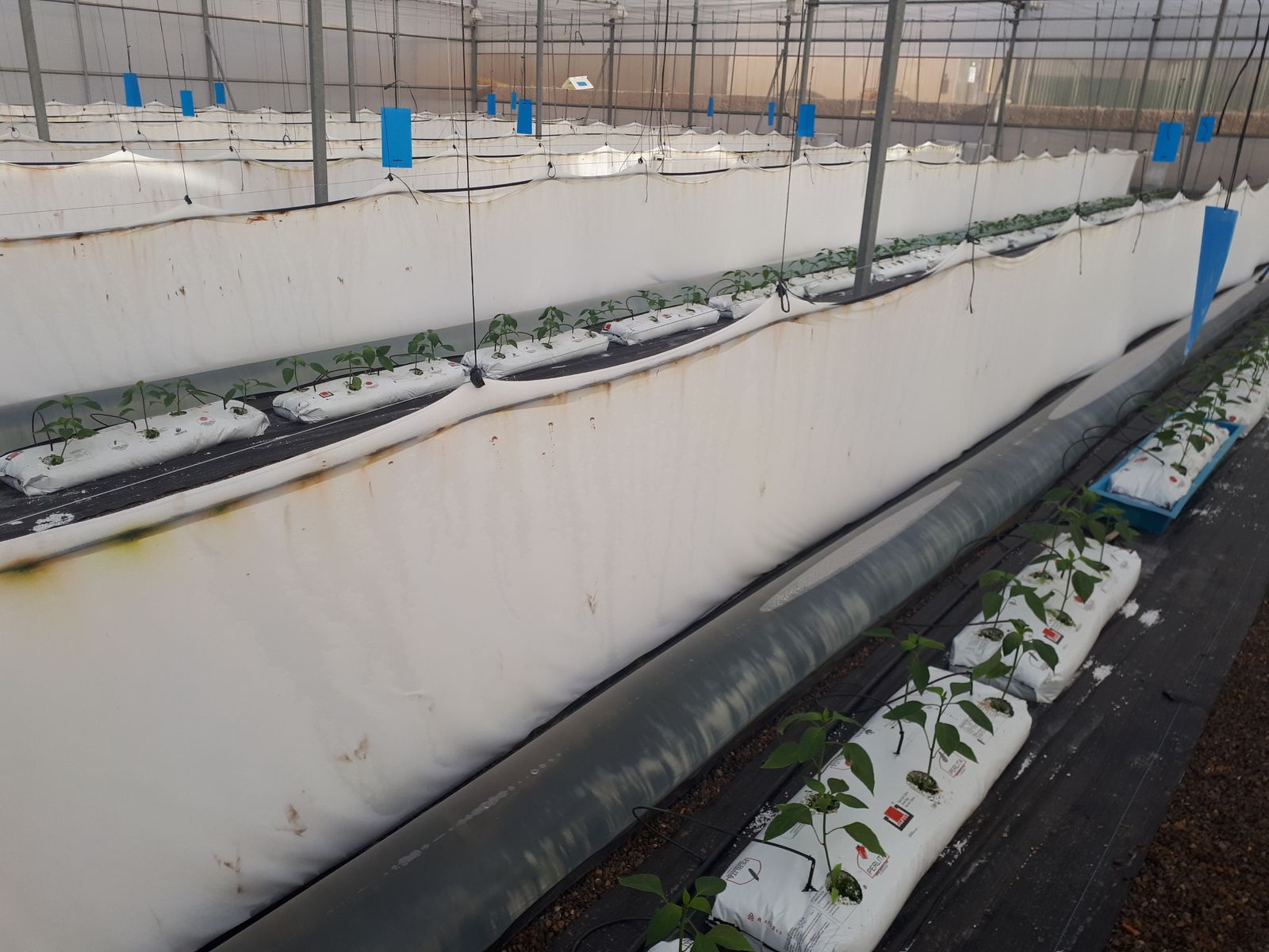 Sistemas pasivos en Centro IFAPA La Mojonera.