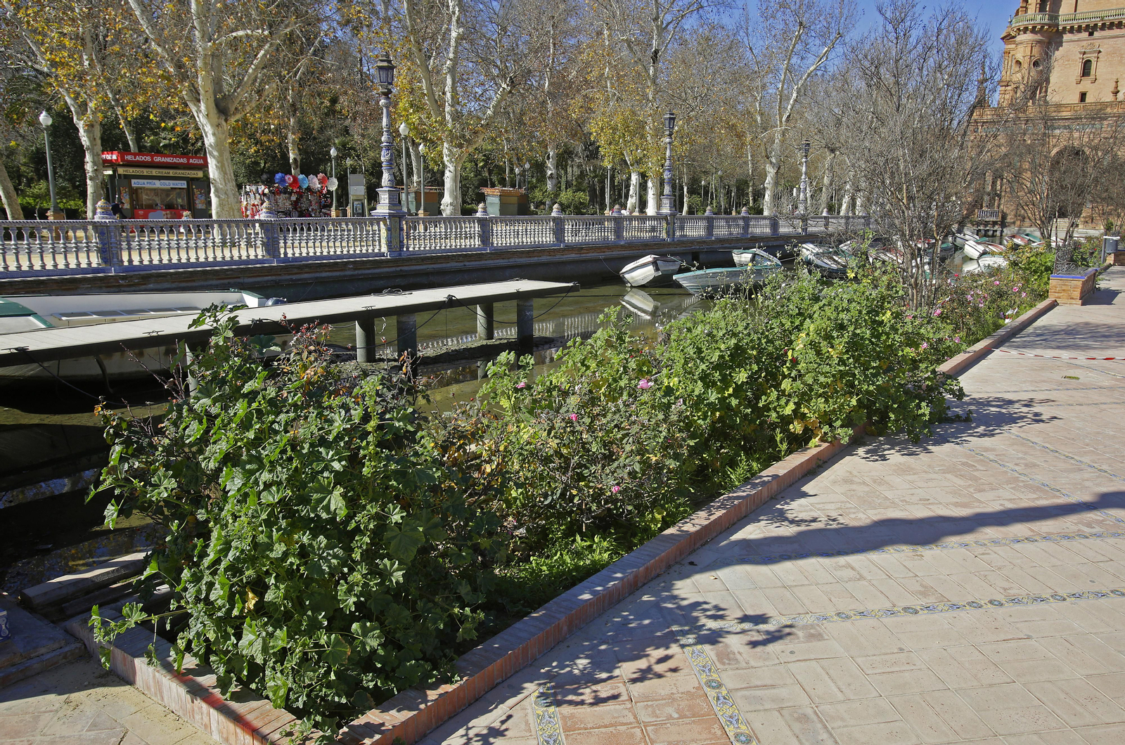 Mal estado de los arriates y plantas en la Plaza de España
