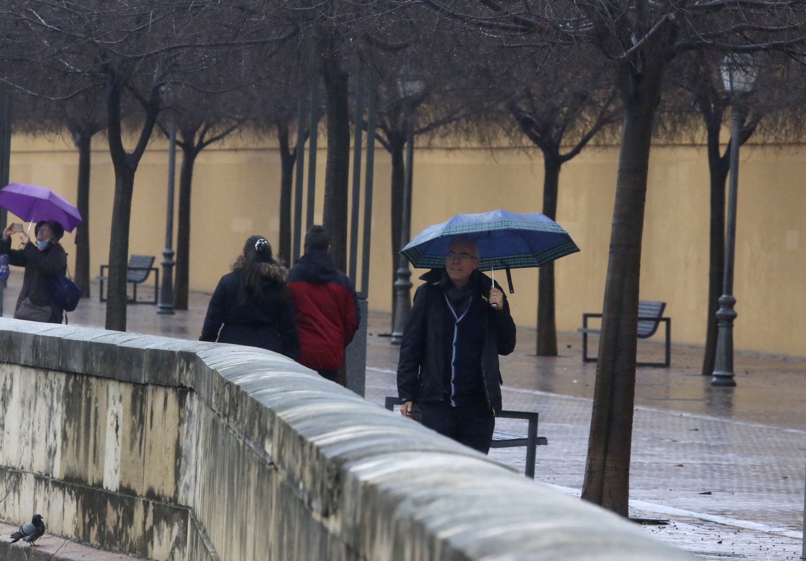 Un día de Navidad en Córdoba pasado por agua, en fotografías