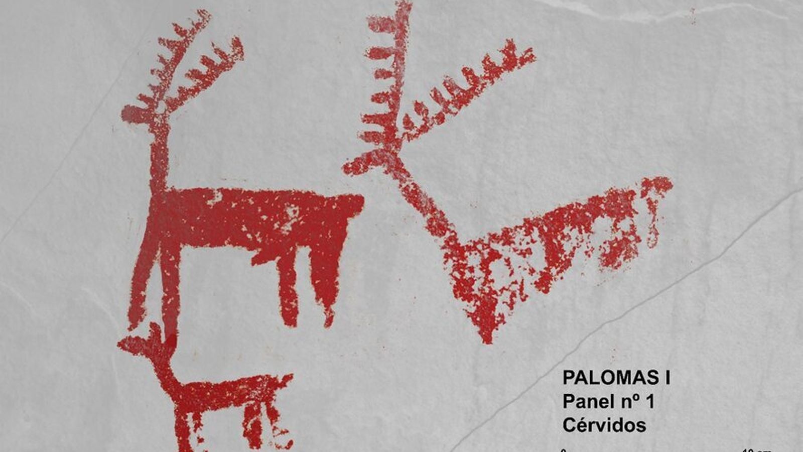 Équido de la cueva del Realillo.