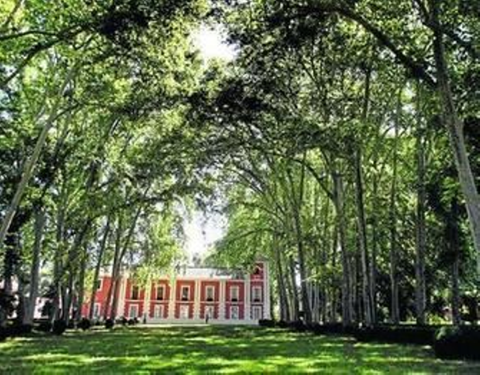 1. Jardín principal del Palacio de Moratalla, presidido por plátanos de sombra de más de 150 años. 2. Asistentes a la visita organizada por la empresa Córdoba Viva en el salón de los espejos. 3. Fuente de Doña Leonor, construida en honor de una de las hijas del segundo duque de Viana. 4. Reja de entrada al palacio, que diseñó el ingeniero francés J. N. Forestier. 5. Jardín naval del interior del palacio.