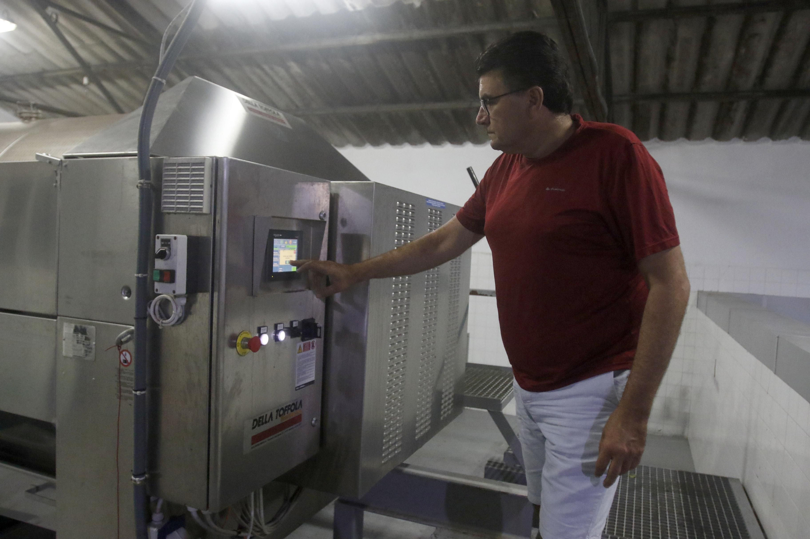 La vendimia en Montilla-Moriles, en fotografías