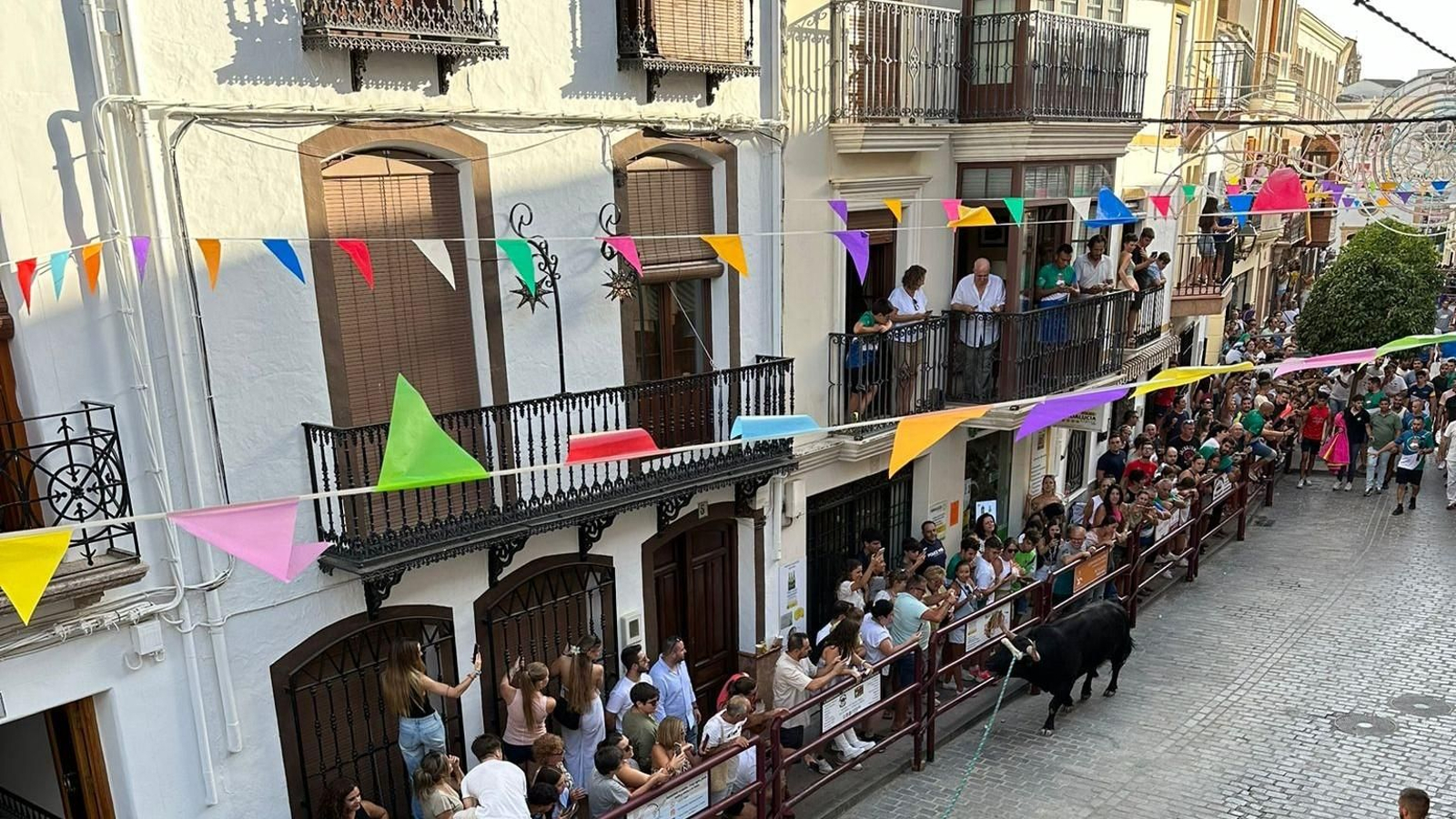 Las fotos del toro de cuerda de Carcabuey