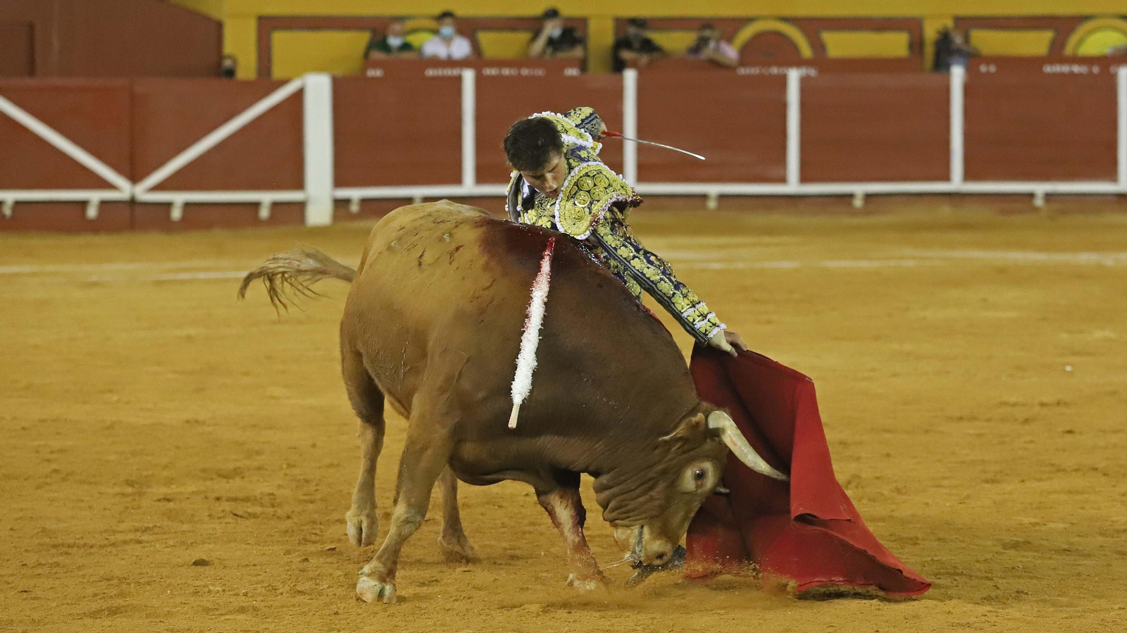 Fotos de la corrida de toros en Algeciras