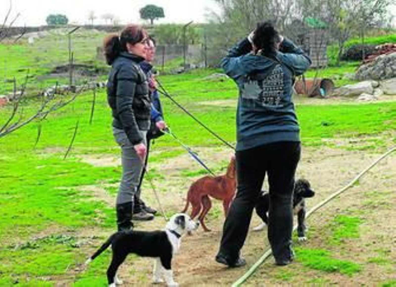 Las impulsoras del proyecto en la comarca de Los Pedroches. Las impulsoras del proyecto en la comarca de Los Pedroches.