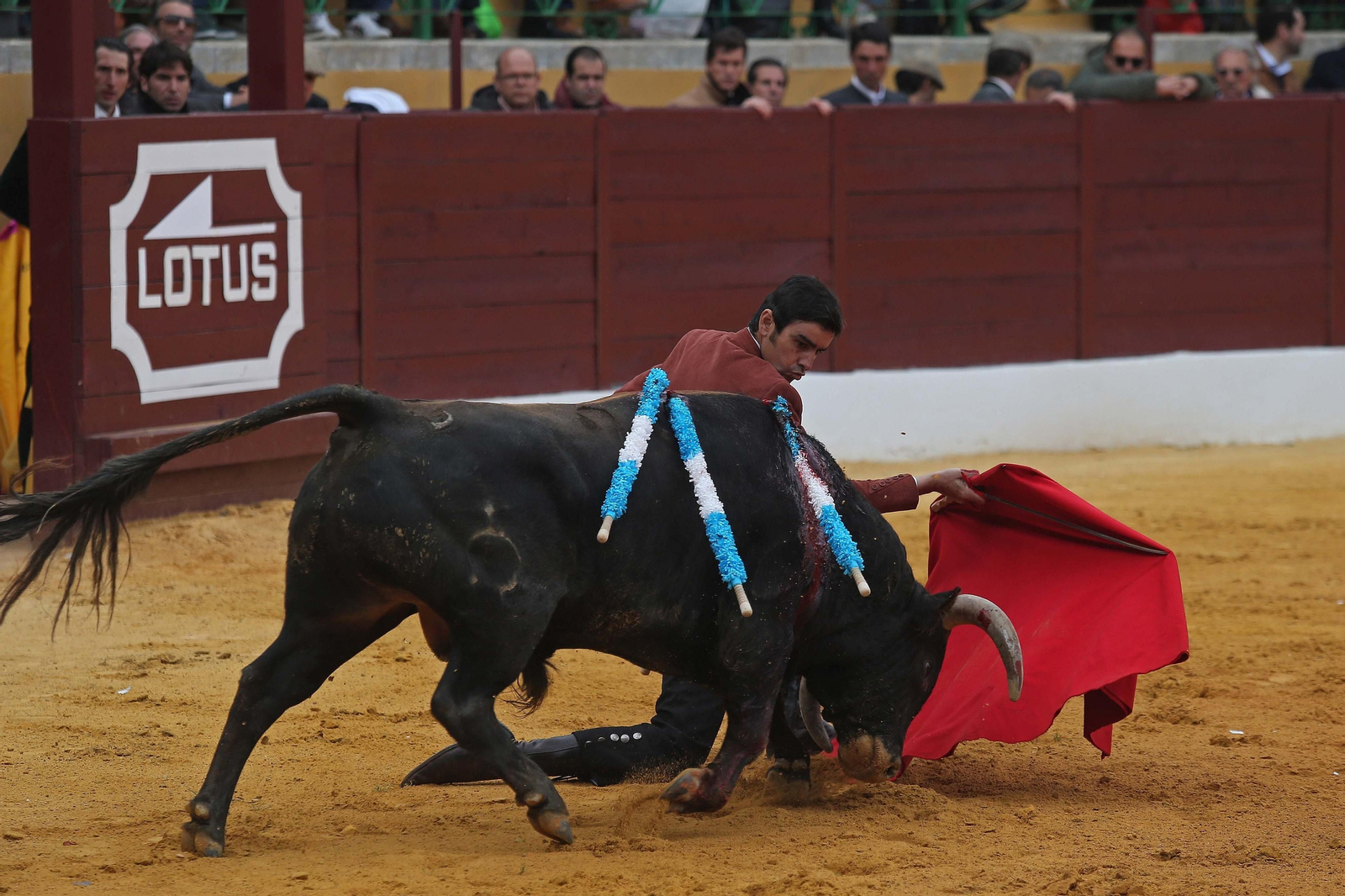 Fotos del festival taurino benéfico en La Línea