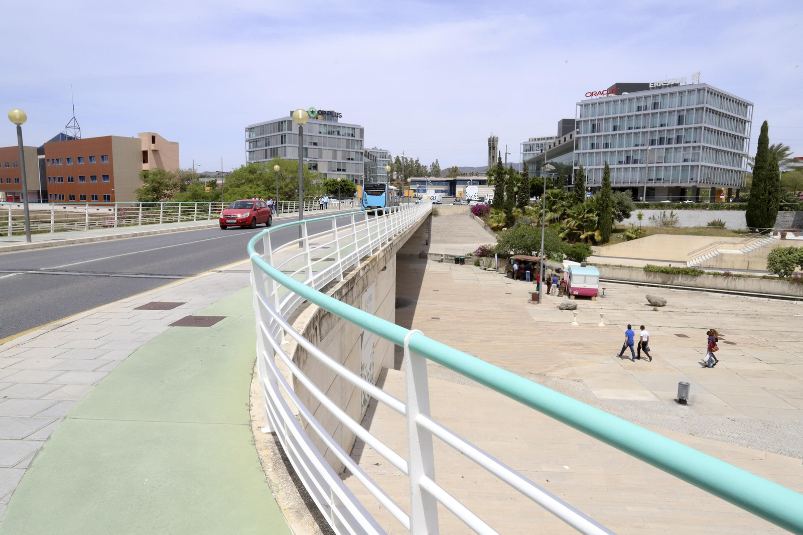 Campanillas en fotos