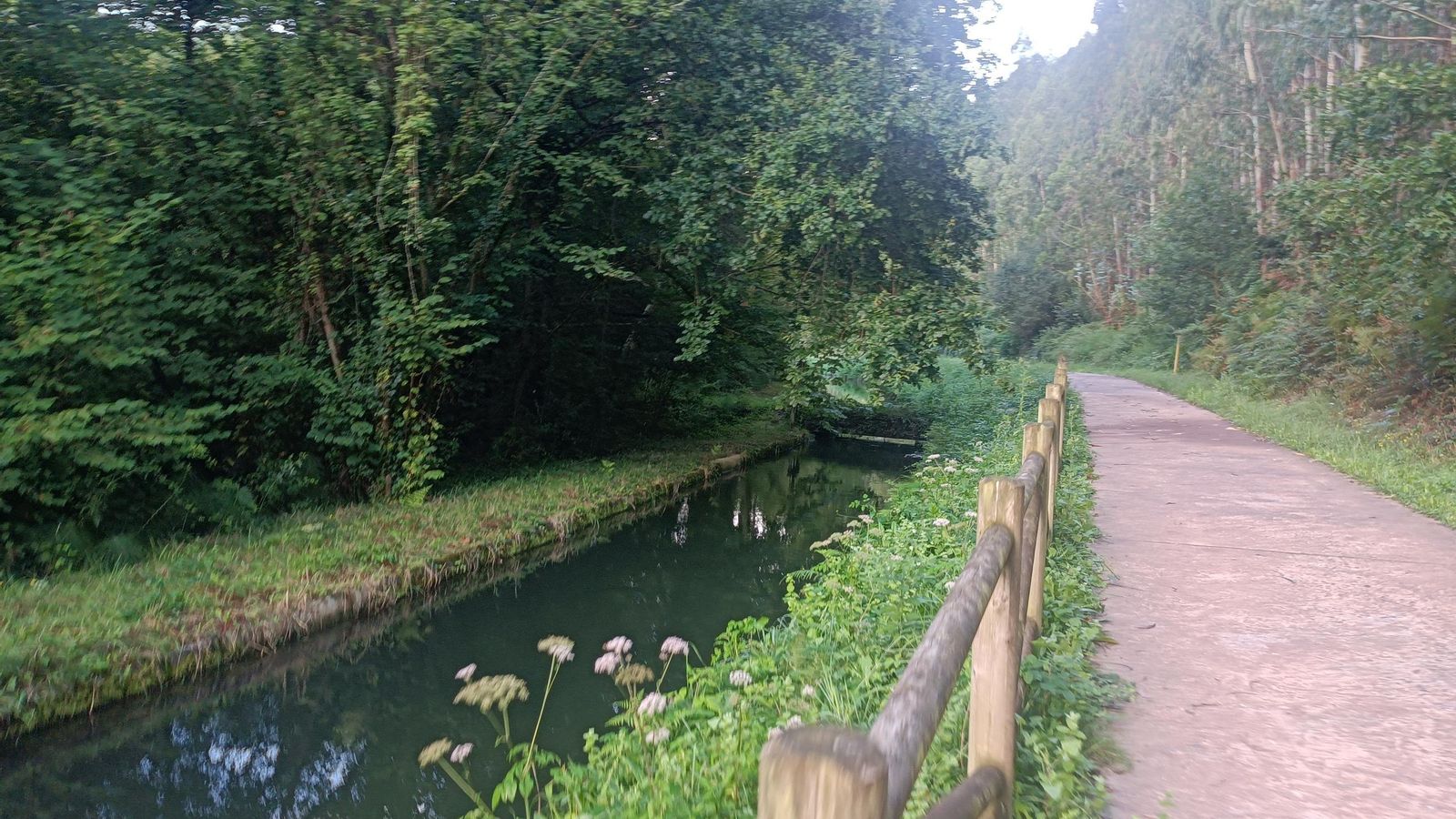 Sendero junto a los canales del Cadagua.