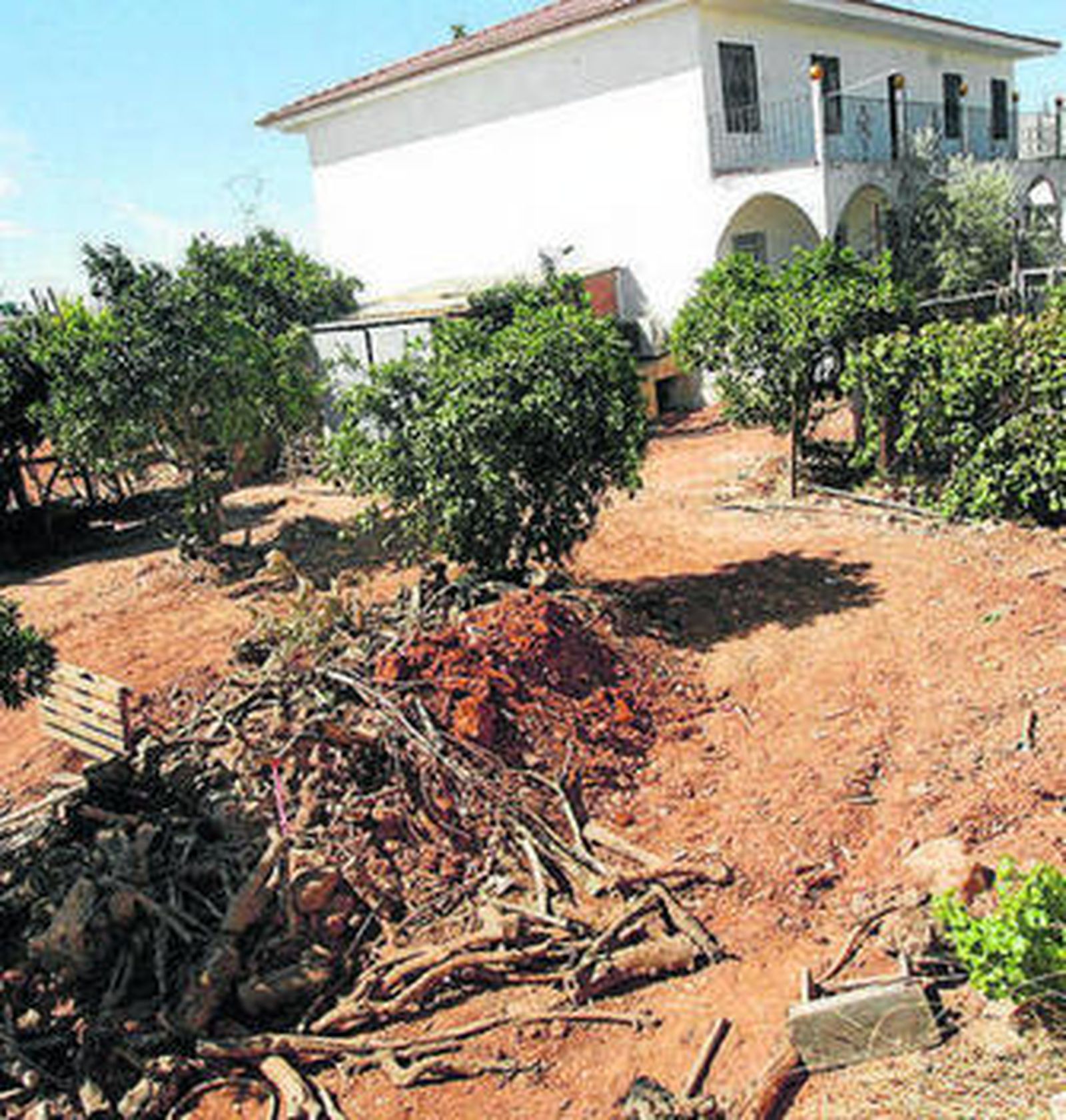 Imagen de la hoguera.