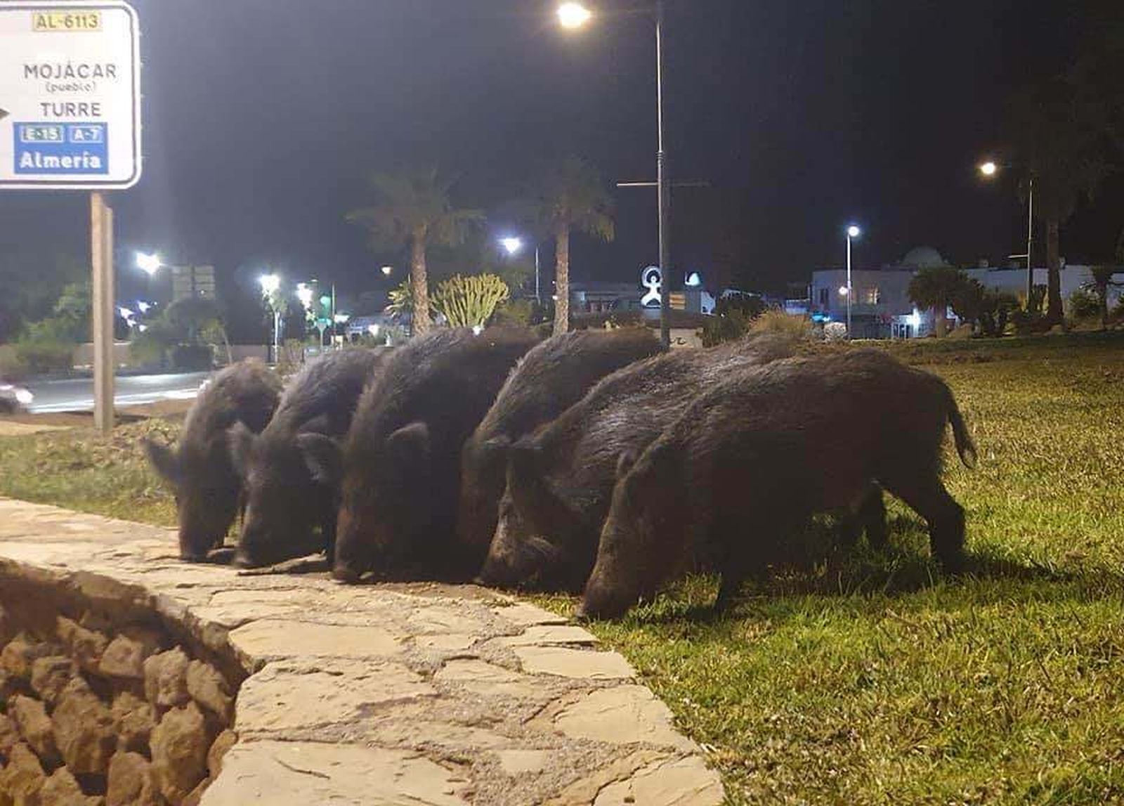 El 'comando jabalí' se salta el cierre perimentral para visitar el parque comercial de Mójacar