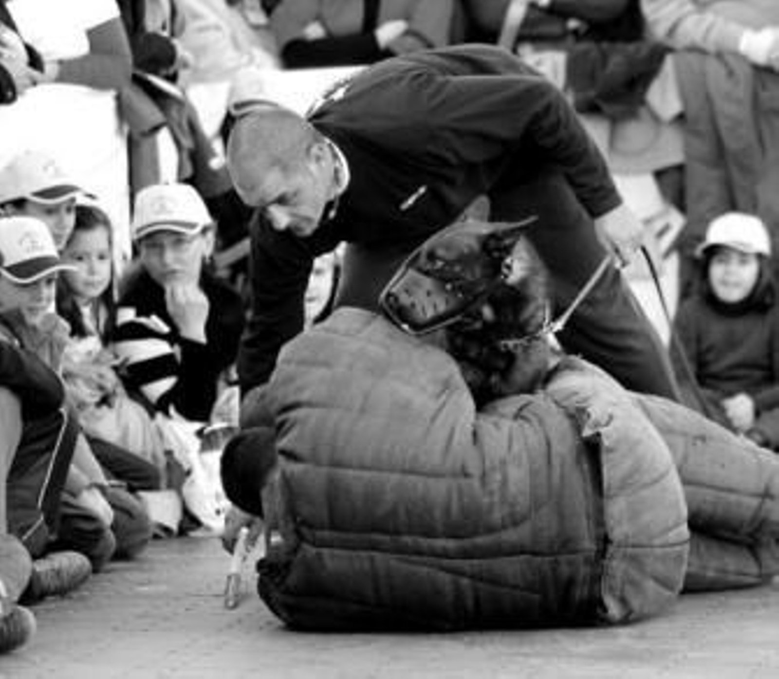 Agentes reivindicativos Agentes reivindicativos