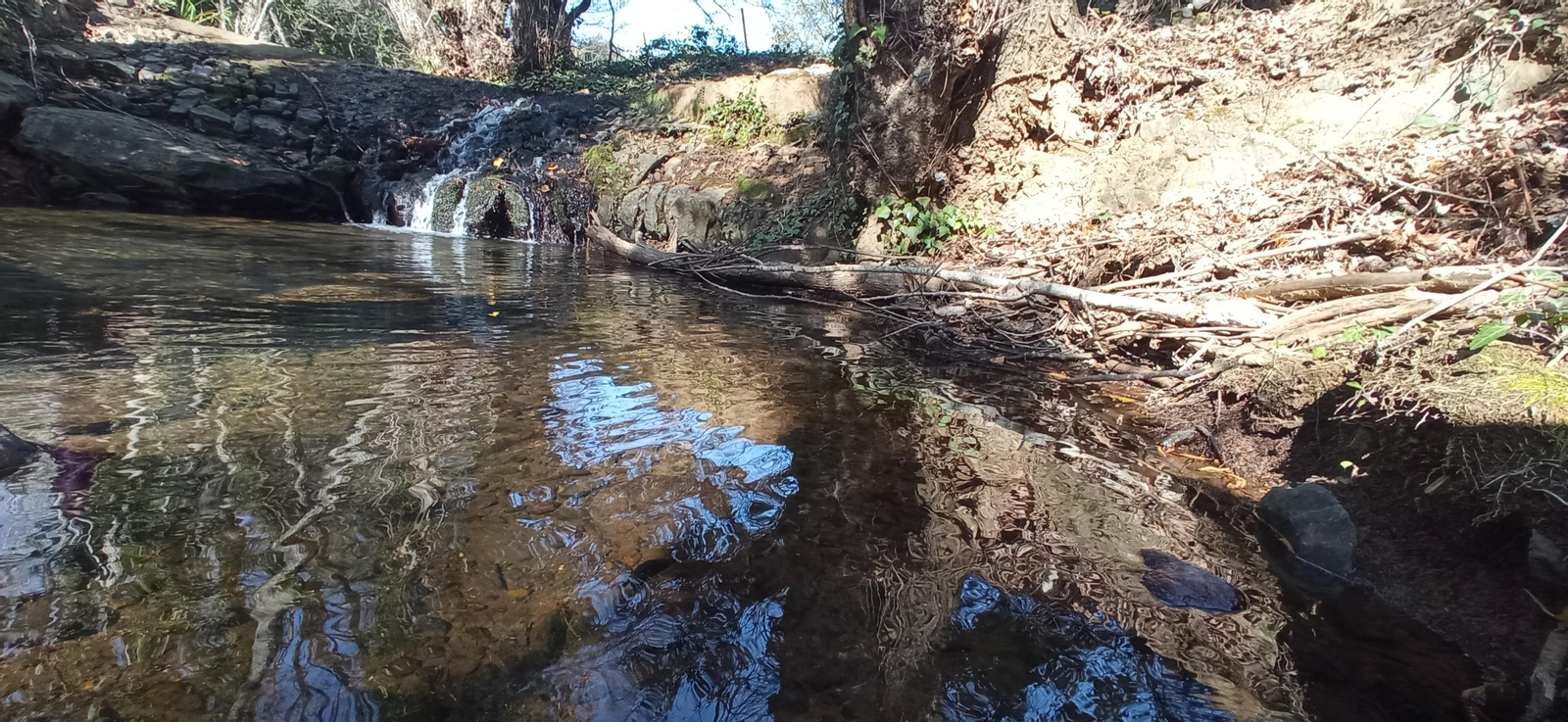 Las imágenes de la ruta de la cascada de Jollarancos y bosque de las letras