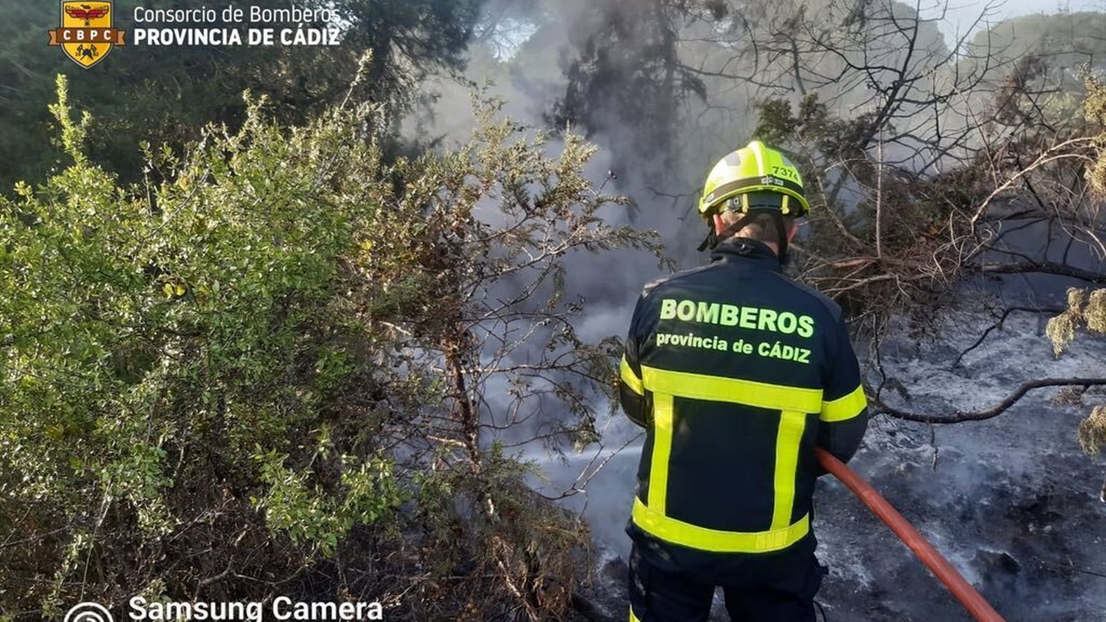 Una imagen de los bomberos interviniendo en el Coto de la Isleta.