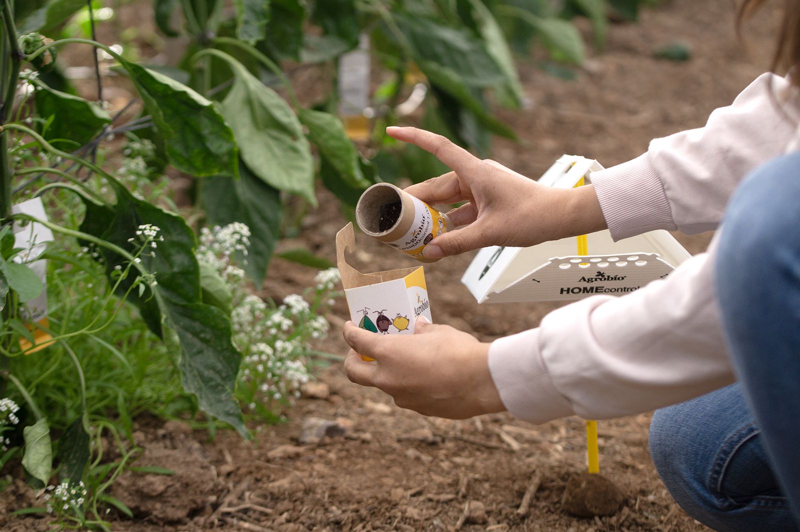 Sueltas preventivas con HOMEcontrol.