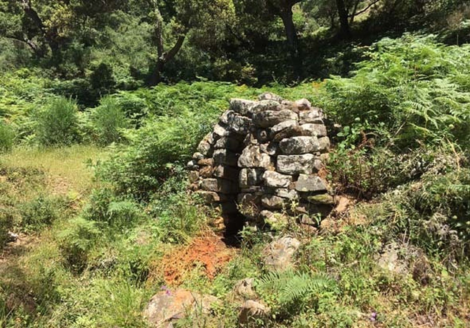 Fuente del Pilar Viejo