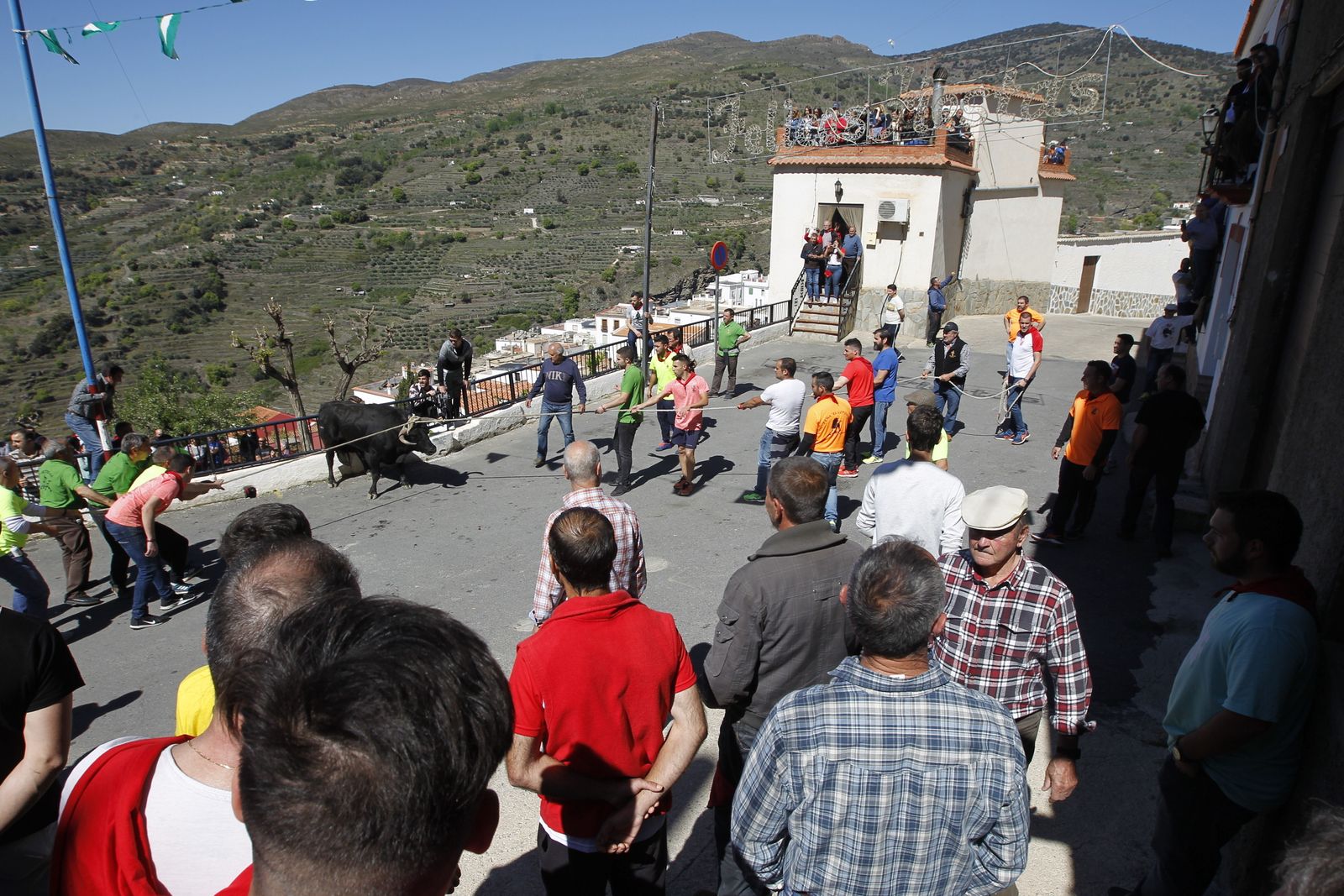 Fotogalería Tosos Ensogaos Ohanes. Fiestas San Marcos.
