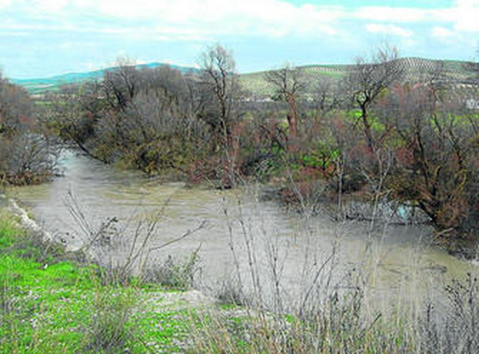 Cauce del río Guadajoz a su paso por el término municipal de Baena.