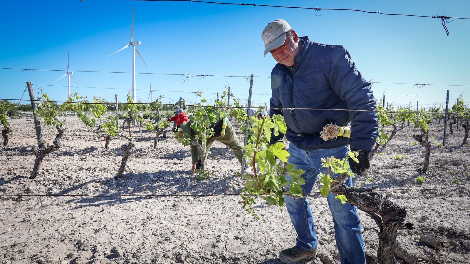 Santiago Jordi y los vinos de pasto de Patrick Murphy