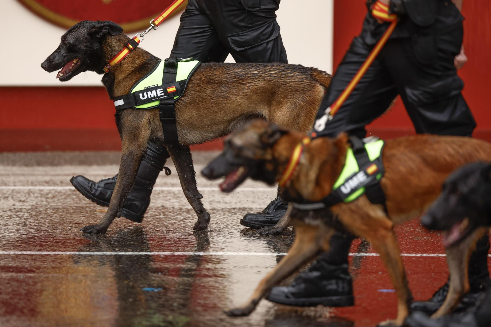 El desfile militar del Día de la Hispanidad, en imágenes