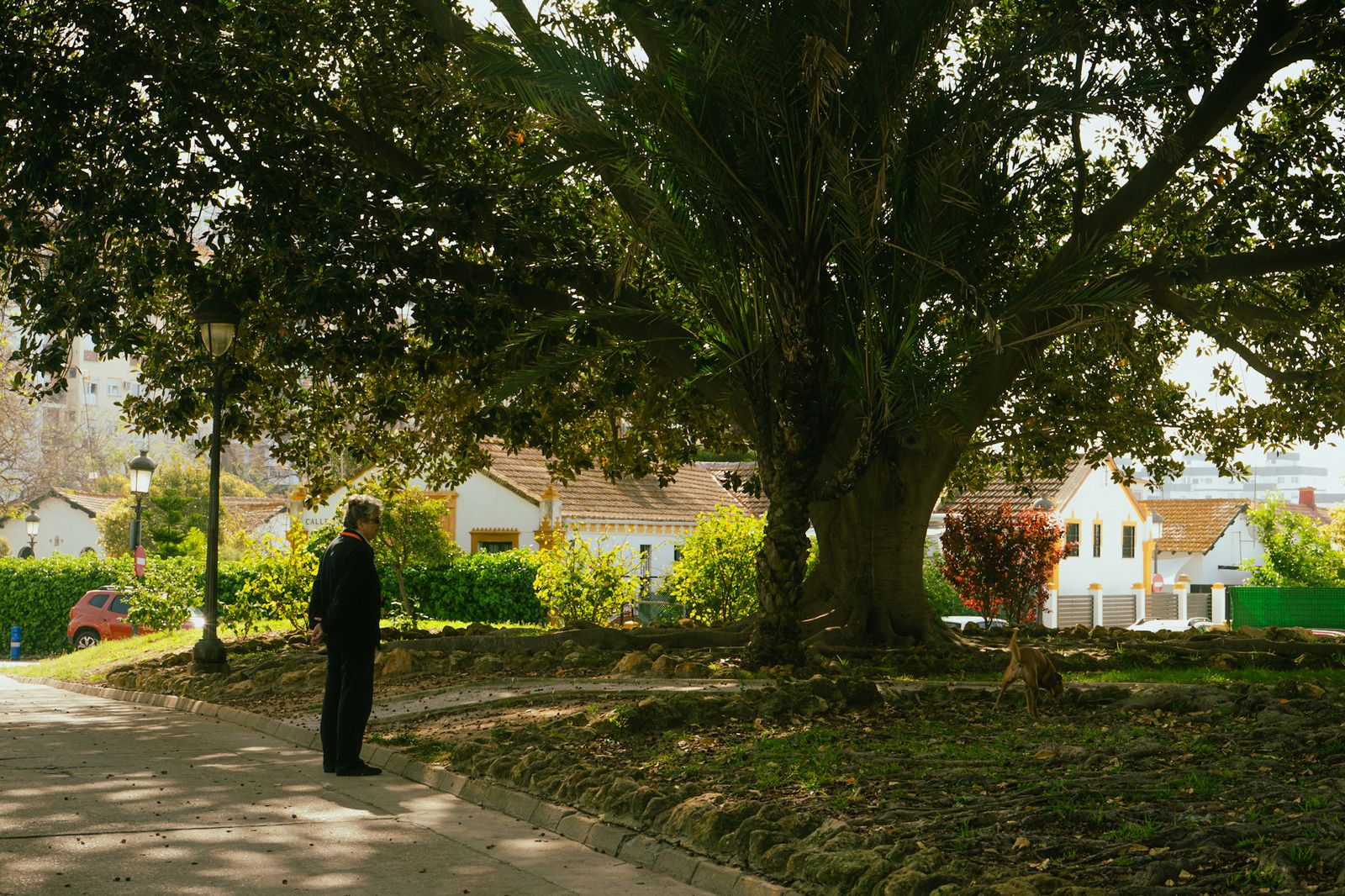 Las imágenes más destacadas del viernes 25 de abril en Huelva