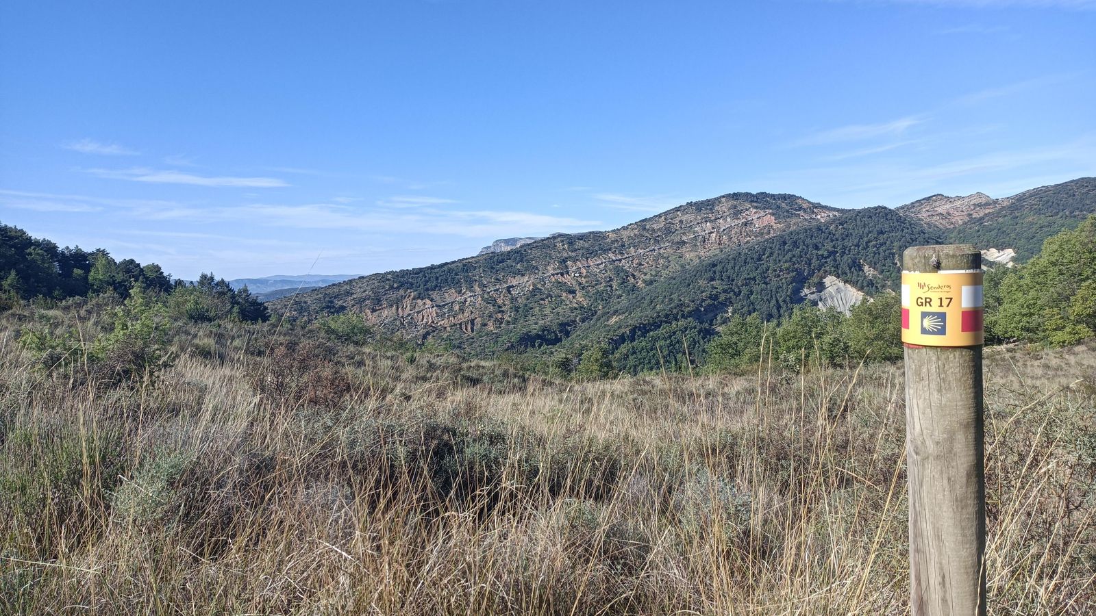 En el alto la vegetación es más escasa.