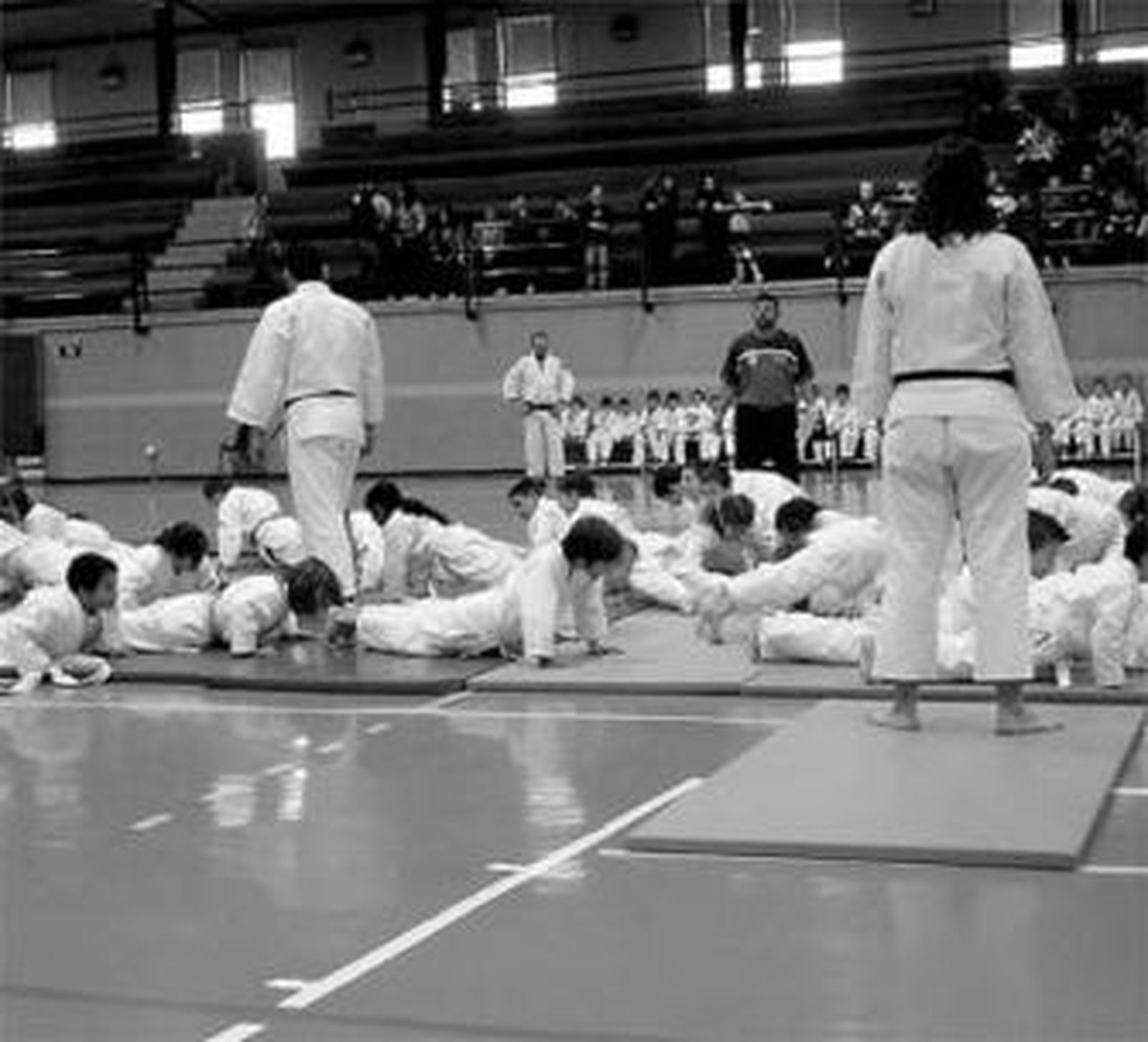Los judocas de Torremolinos, durante la jornada del sábado.
