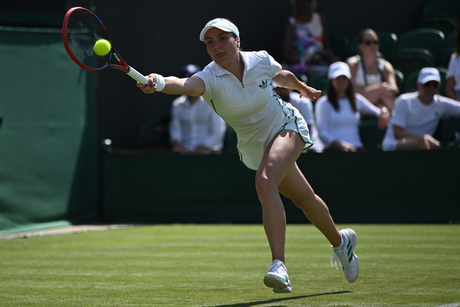 La primera jornada de Wimbledon (45).jpg