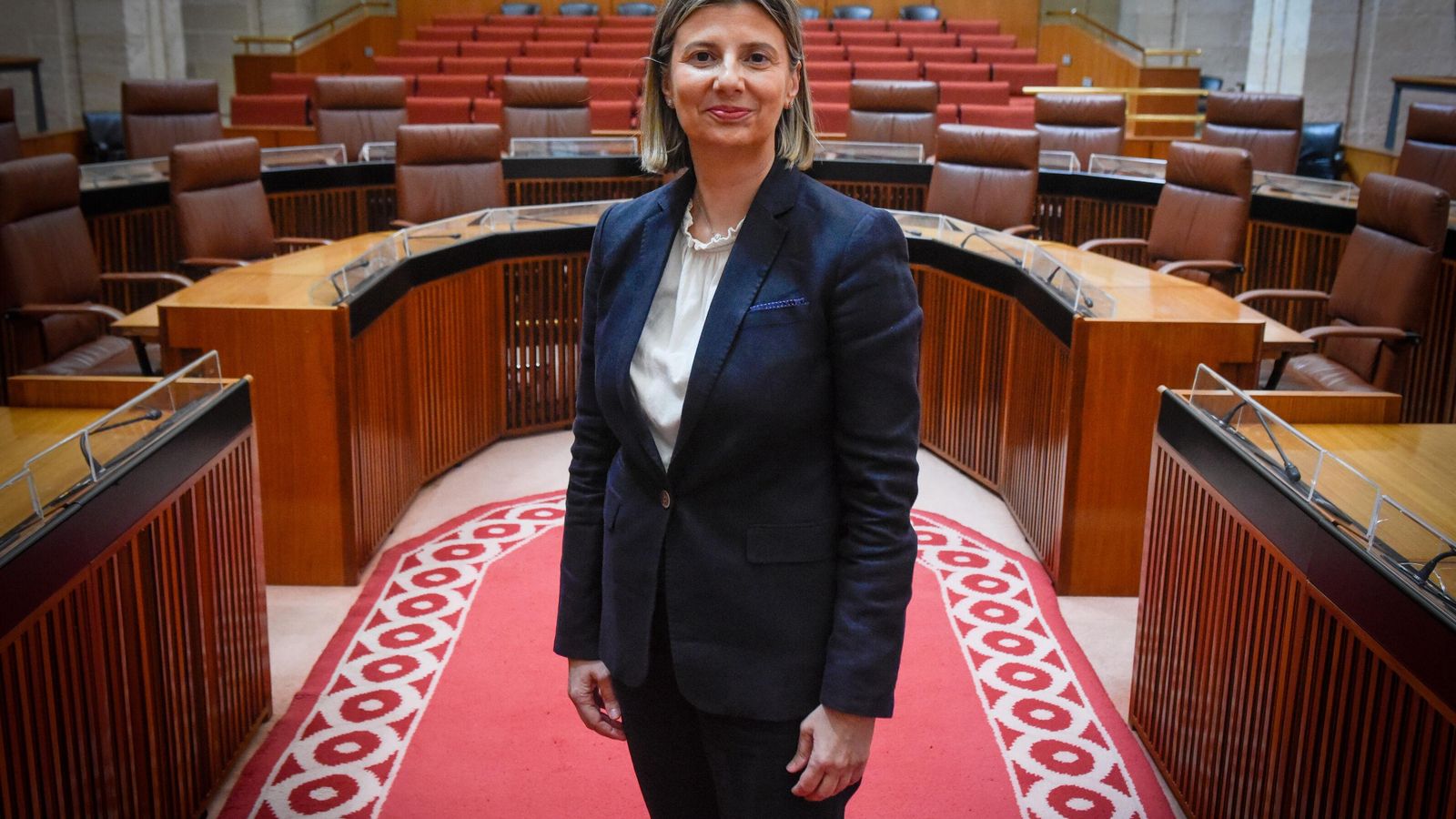 Ana Caballero, vicepresidenta de la Asociación Europea para la Transición Digital, en el Parlamento de Andalucía.