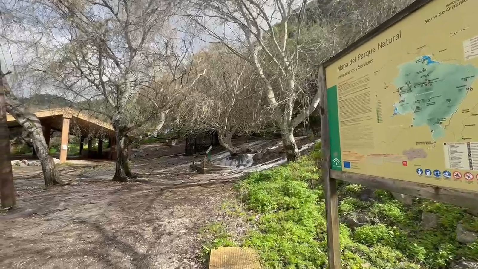 Agua brotando del suelo en el área recreativa Los Cañitos, entre Ubrique y El Bosque