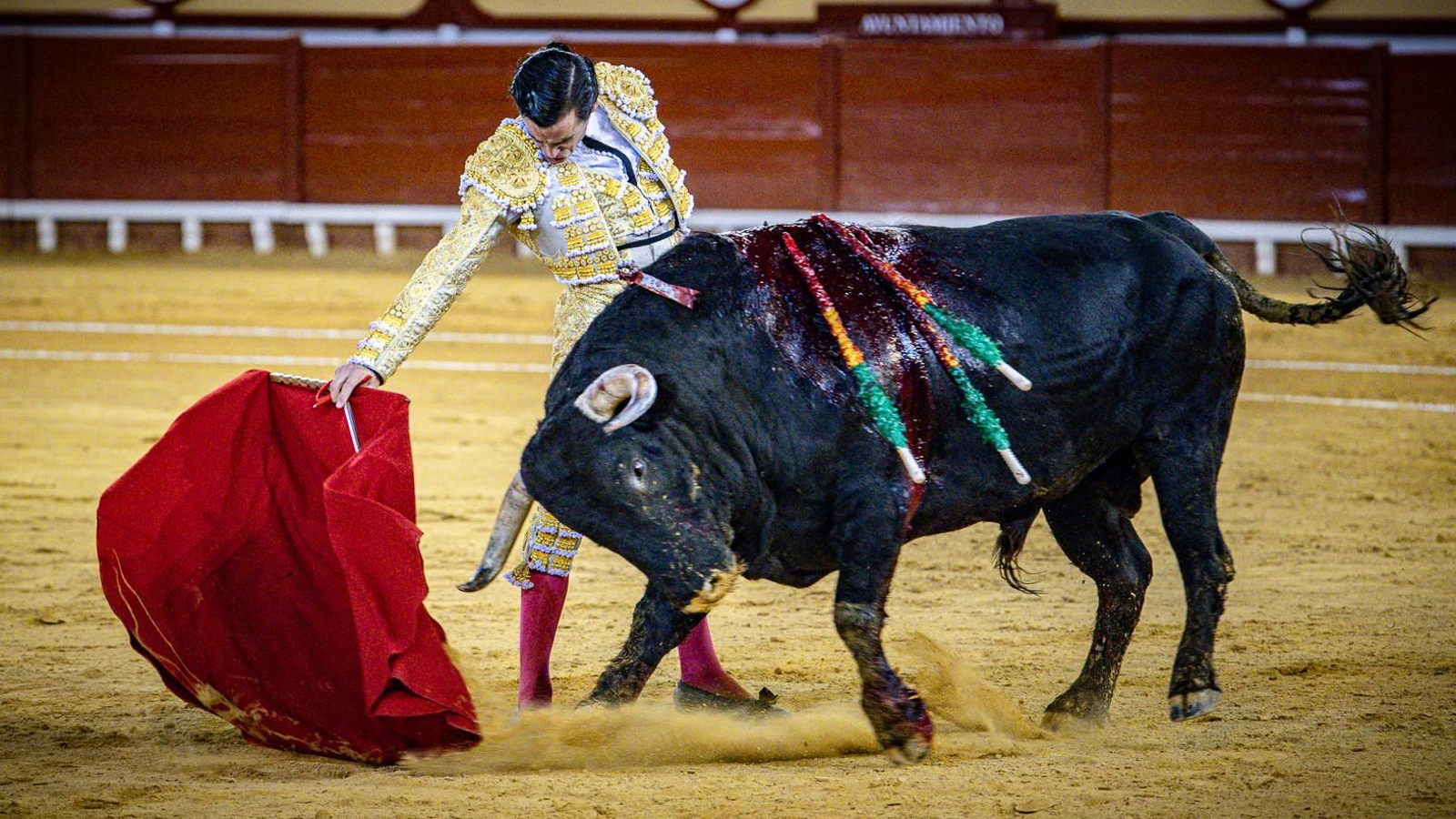 Las imágenes de la corrida de toros en El Puerto: Morante, Talavante y Juan Ortega