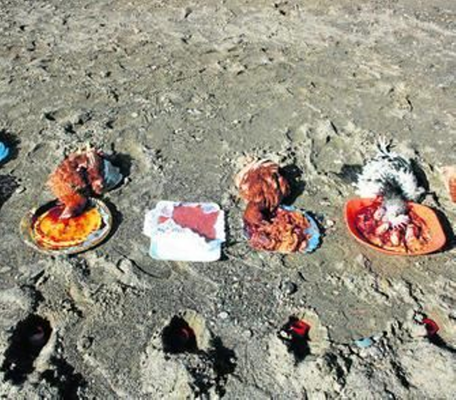 Pollos sacrificados en un ritual de vudú encontrados en 2012 en una playa de Málaga.