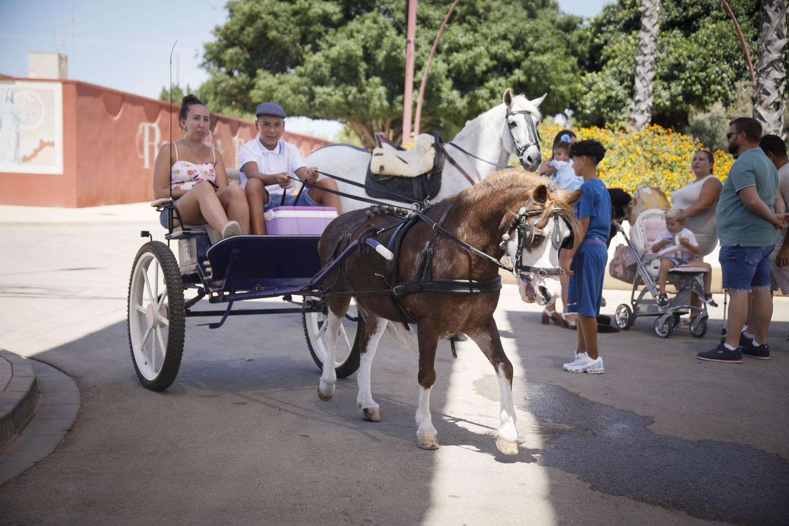 Las imágenes del paseo de Caballos y Carruajes, en el recinto ferial
