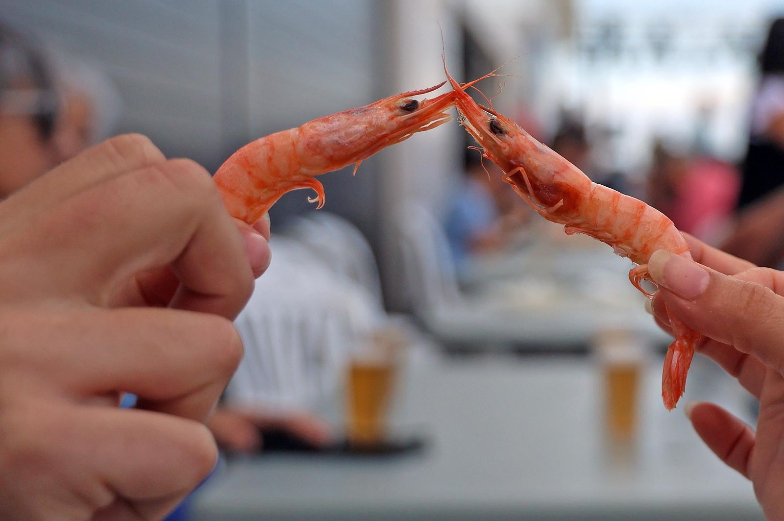 Imágenes del sábado 10 de mayo en Huelva