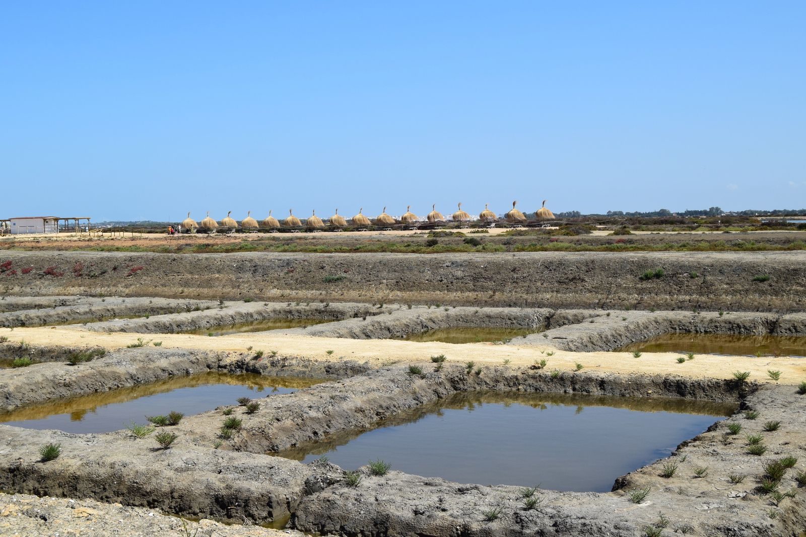 Vista de la Salina Santa Teresa.