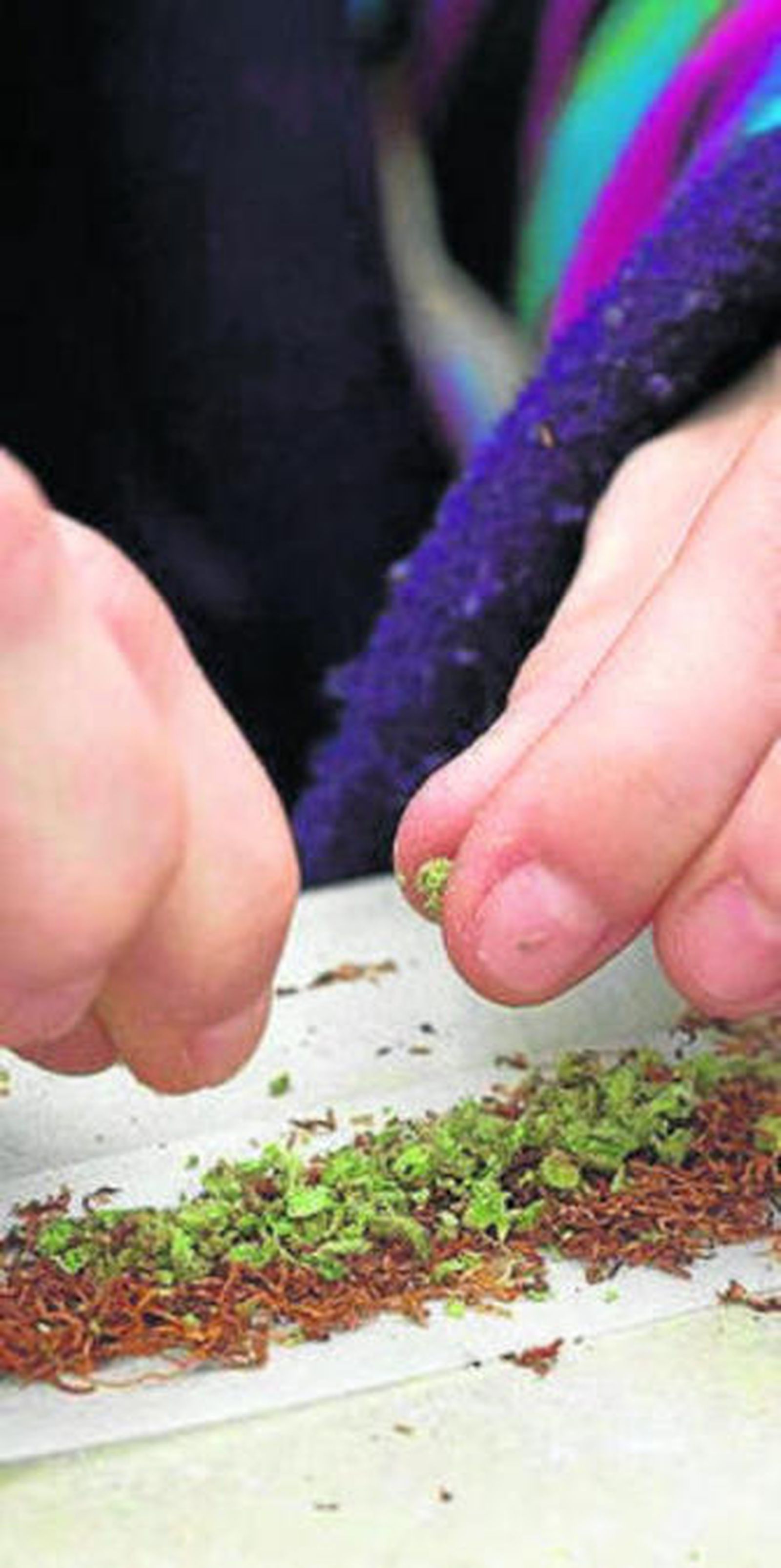 Preparando la droga.