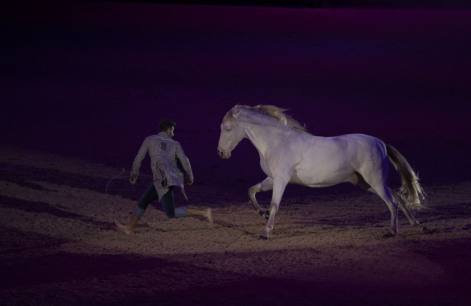 El espectáculo del SICAB 2019, en imágenes