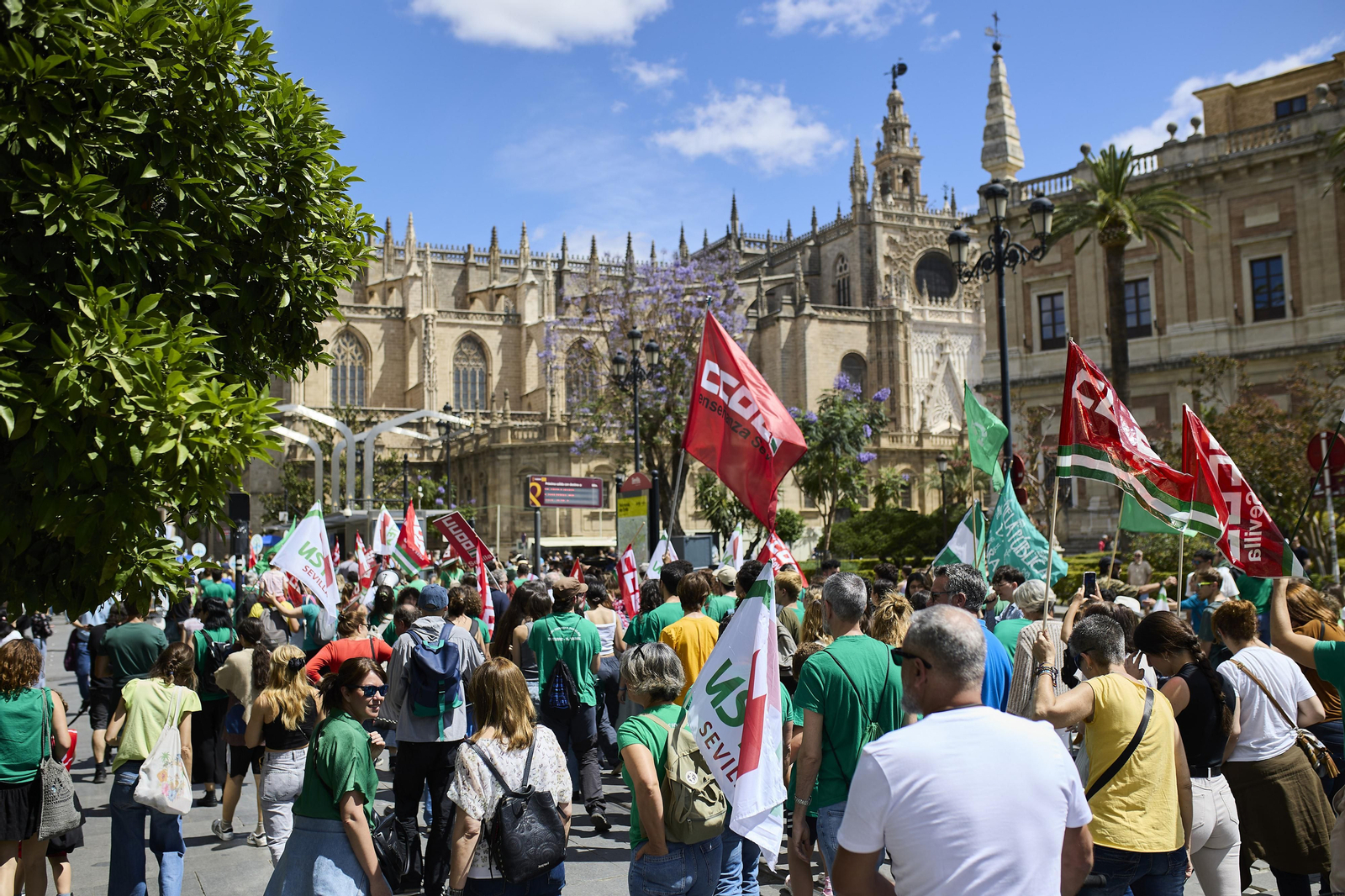 Las imágenes de la manifestación de docentes
