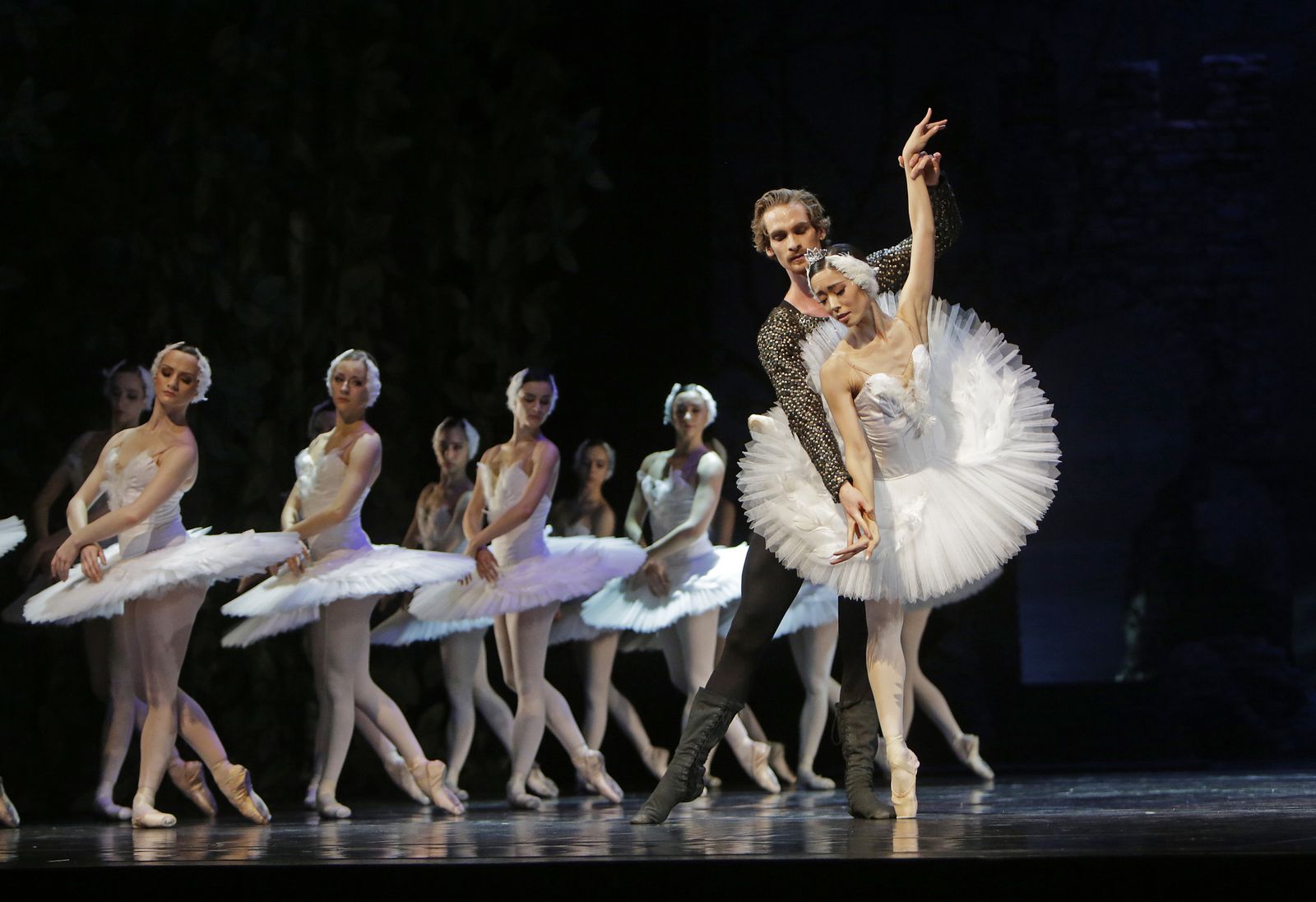 EL LAGO DE LOS CISNES