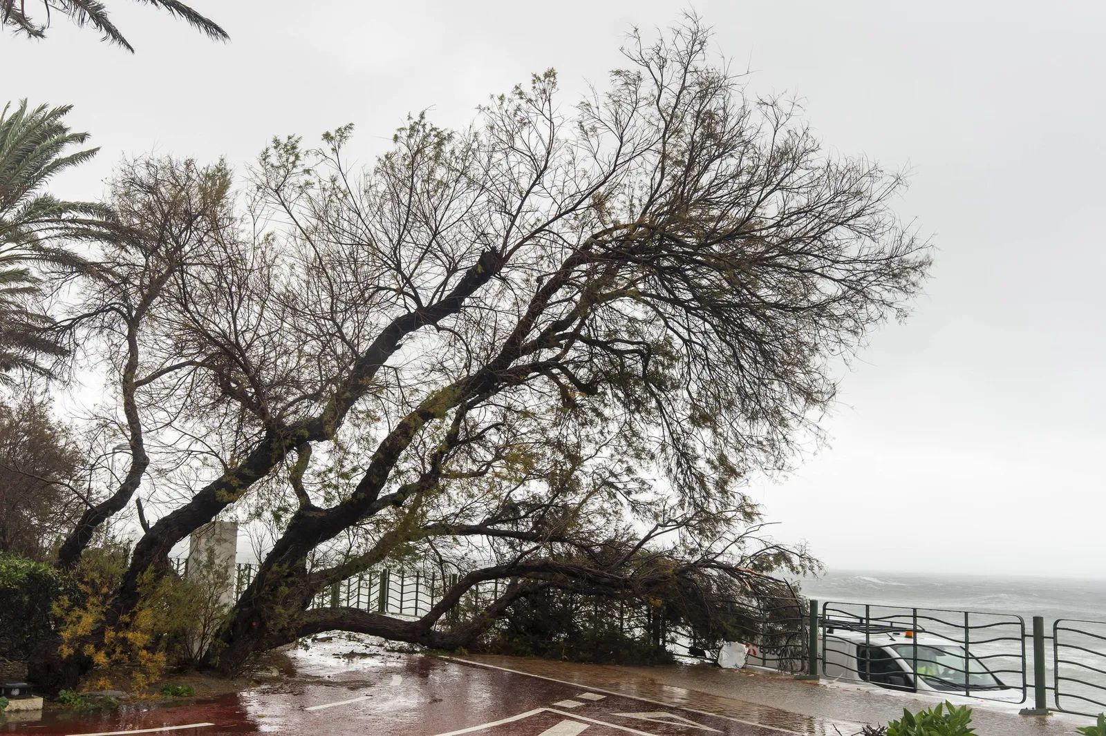 Almería, entre las provincias más afectadas por las rachas de la borrasca ‘Oriana’.