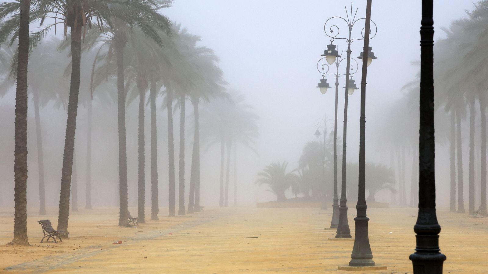 Mañana de niebla en Jerez