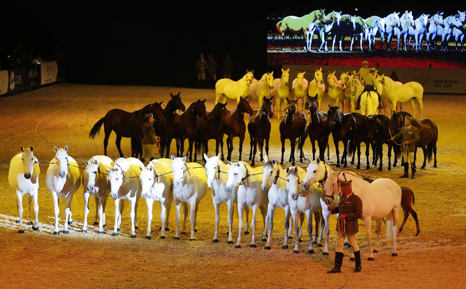 Inauguración de Sicab 2017