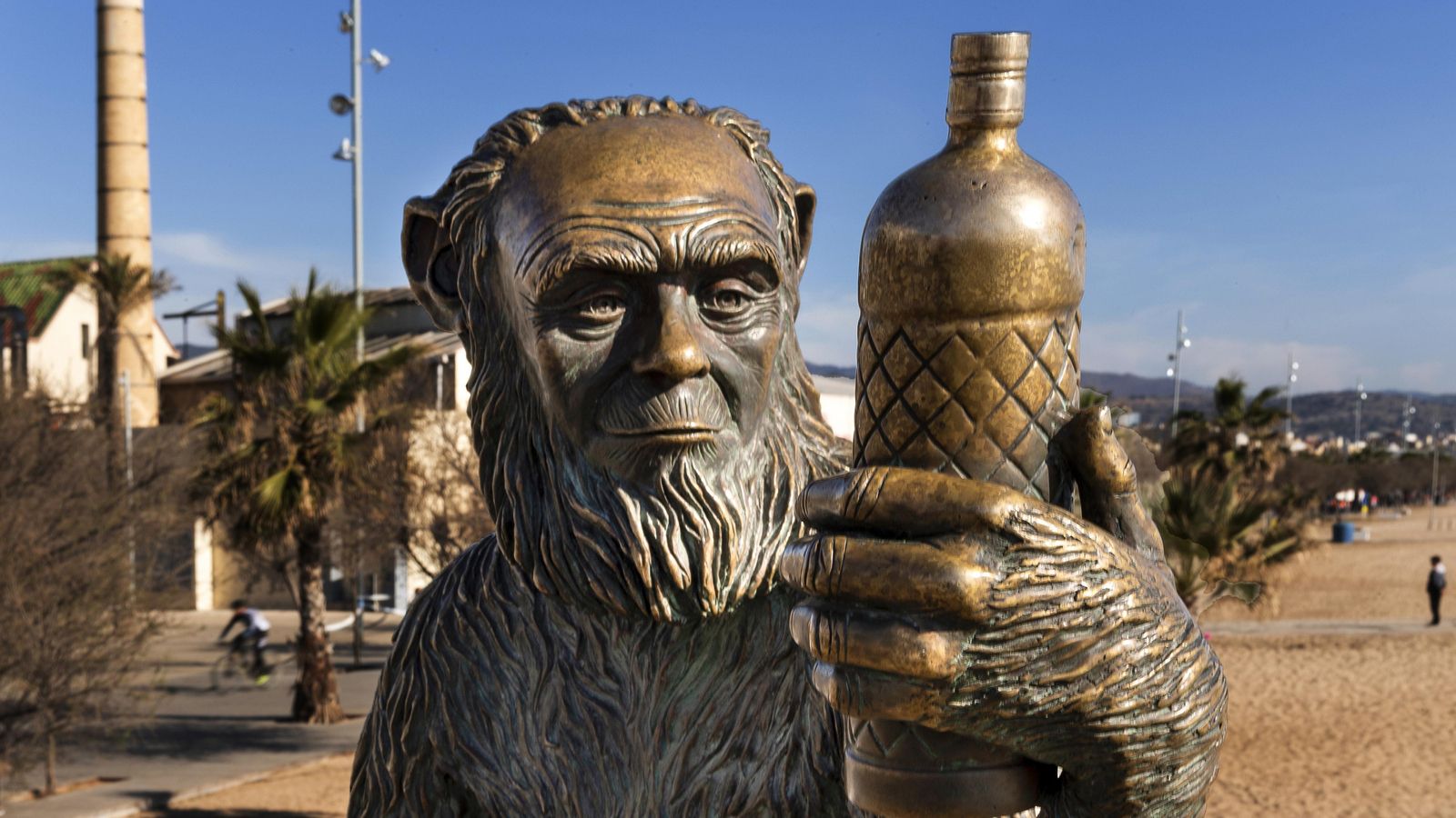 El mono de Anís del Mono.