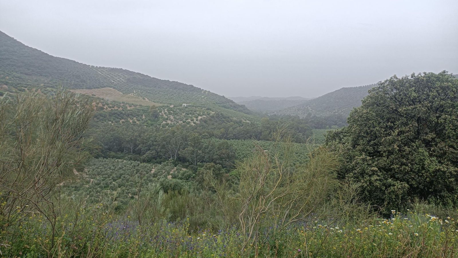 Vistas del valle.